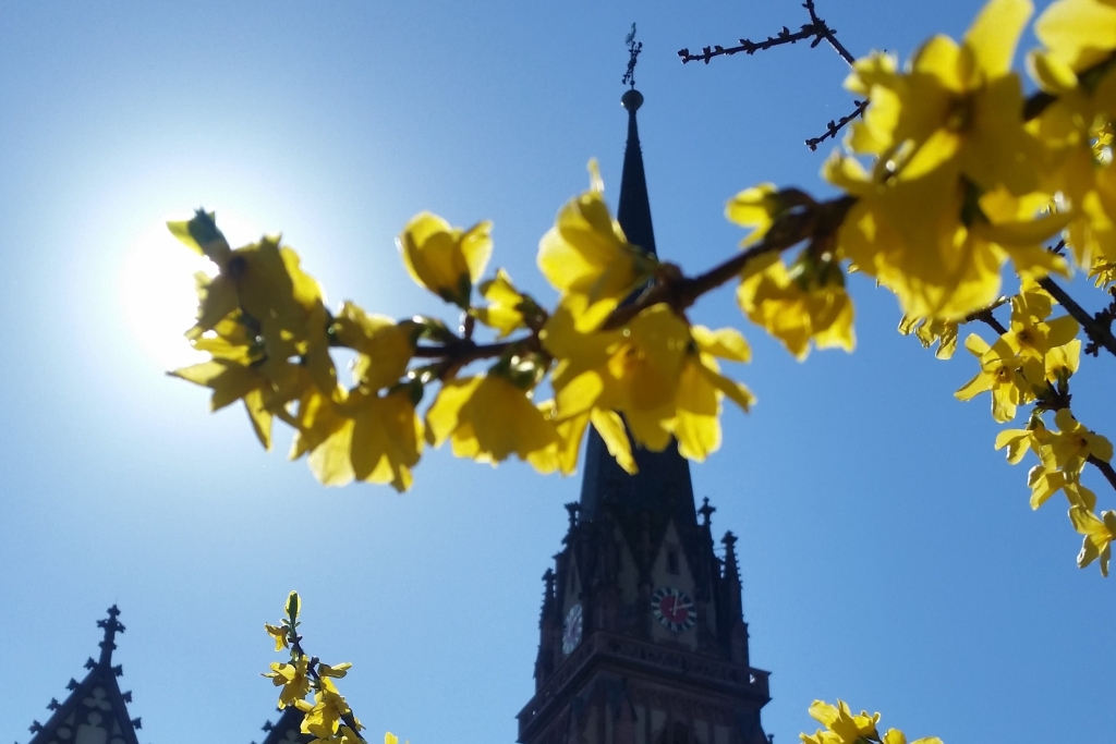 Dreikönigskirche Frankfurt am Main